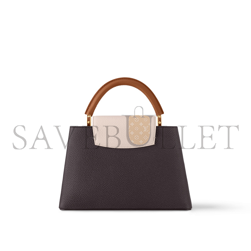 LOUIS VUITTON CAPUCINES MM M12952 (31*20*11cm)